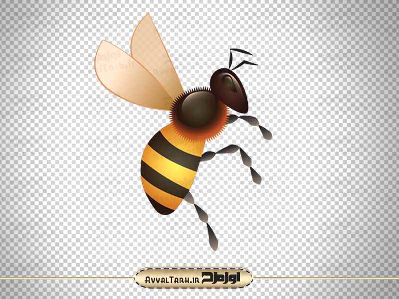 فایل دوربری زنبور عسل