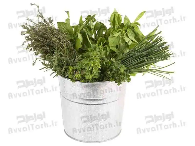 تصویر دوربری گلدانی از گیاهان دارویی