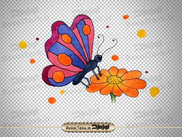 وکتور گل و پروانه