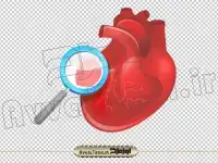 دوربری تصویر قلب و ذره بین