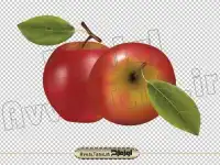 عکس دوربری شده دو سیب قرمز با برگ