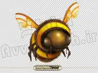 دانلود تصویر زنبور عسل