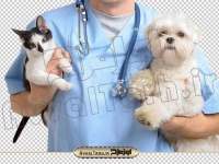 دوربری تصویر گربه و سگ در کنار دامپزشک
