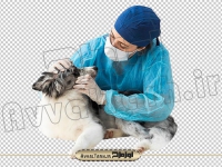 عکس دوربری png دامپزشک در حال معاینه سگ