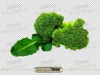 broccoli png