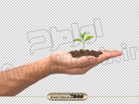 تصویر با کیفیت گیاه در دست