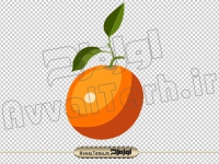 عکس png پرتقال