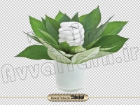 فایل png لامپ کم مصرف و گلدان گل