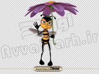 دوربری تصویر زنبور و گل چتری