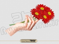 دوربری تصویر دست و گل قرمز