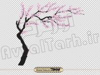 تصویر png درخت با شکوفه های صورتی