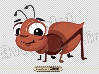 دانلود فایل دوربری png مورچه کارتونی