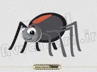 دانلود فایل دوربری png تصویر عنکبوت کارتونی