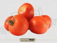 دانلود عکس دوربری شده گوجه قرمز ربی