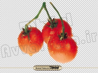 تصویر با کیفیت png گوجه فرنگی کوچولو