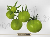 دانلود تصویر دوربری شده گوجه سبز