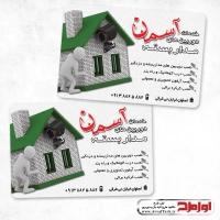 طرح لایه باز کارت ویزیت خدمات سیستم ایمنی و حفاظتی