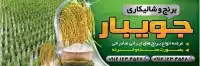 بنر برنج فروشی و شالیکاری
