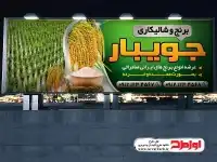 دانلود بنر برنج فروشی و شالیکاری