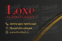 کارت ویزیت گالری اتومبیل با زمینه مشکی