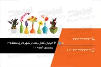 کارت ویزیت شیک پلاسکو