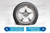 کارت ویزیت لاستیک فروشی