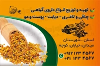 فایل لایه باز کارت ویزیت عطاری و گیاهان دارویی