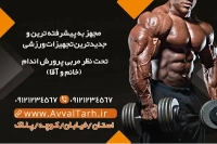 کارت ویزیت باشگاه بدنسازی