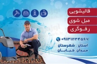 کارت ویزیت دورو قالیشویی و مبل شویی