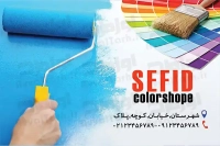 کارت ویزیت رنگ فروشی