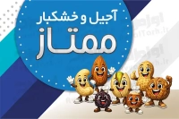 فایل لایه باز کارت ویزیت آجیل فروشی